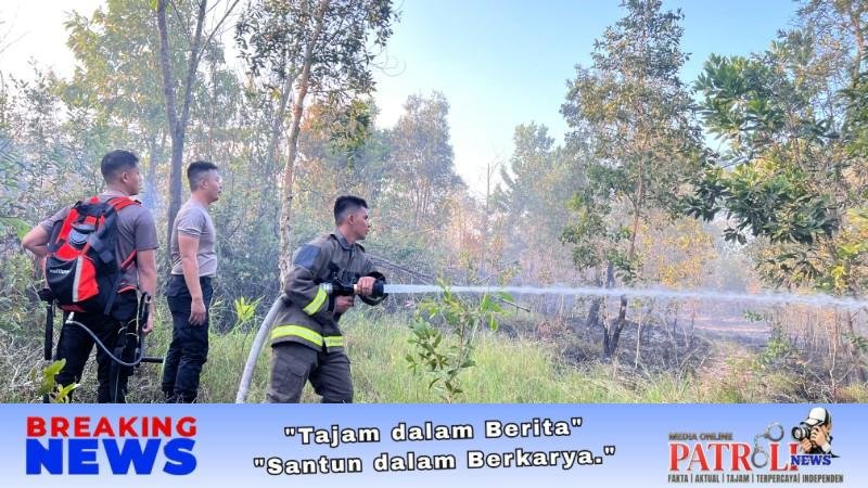 Tim Gabungan Polda Babel-Damkar Berjibaku Padamkan Karhutla Di Pangkalpinang